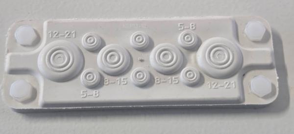 IP65 cable entry plate FL13 for 10 cables 5-21 mm